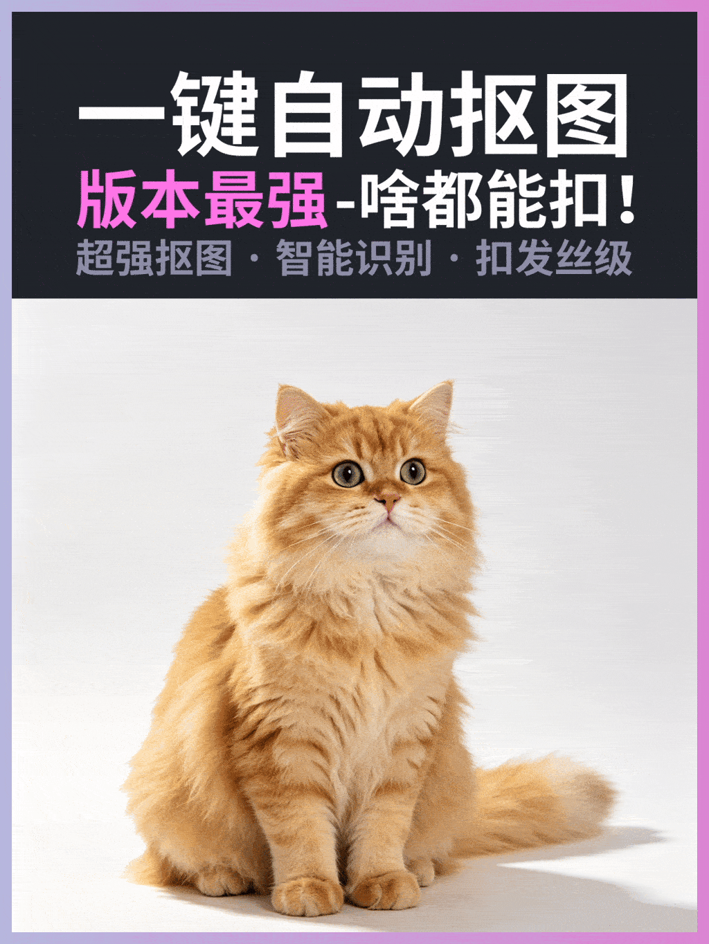 Inspyrenet-Rembg 最强抠图 一键自动抠像